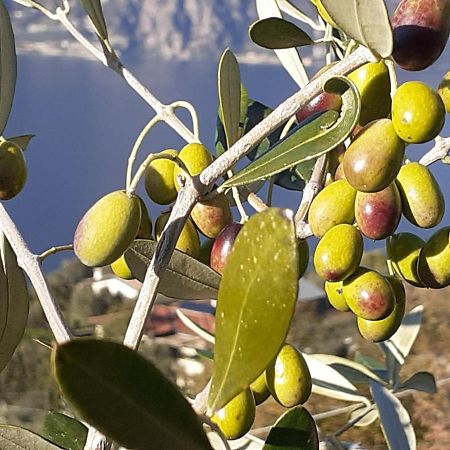 Appartamento Leccino Malcesine Eksteriør bilde