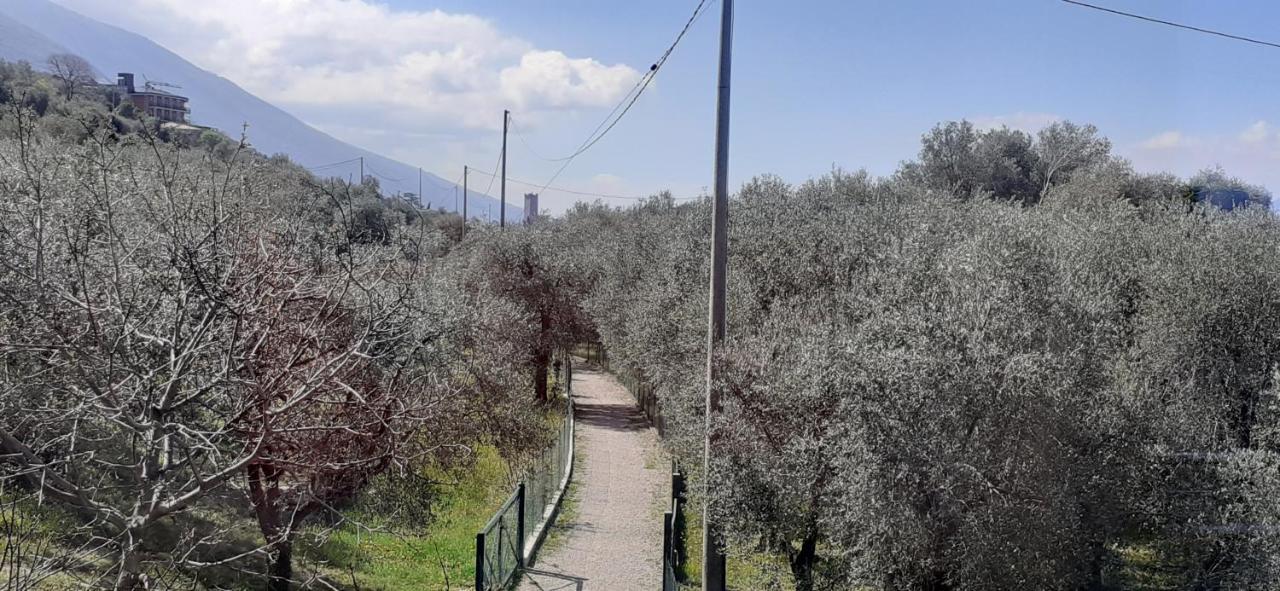 Appartamento Leccino Malcesine Eksteriør bilde