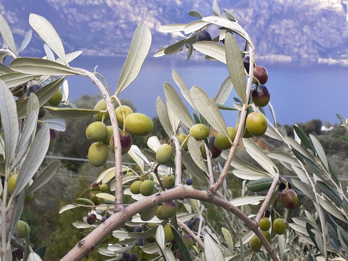 Appartamento Leccino Malcesine Eksteriør bilde