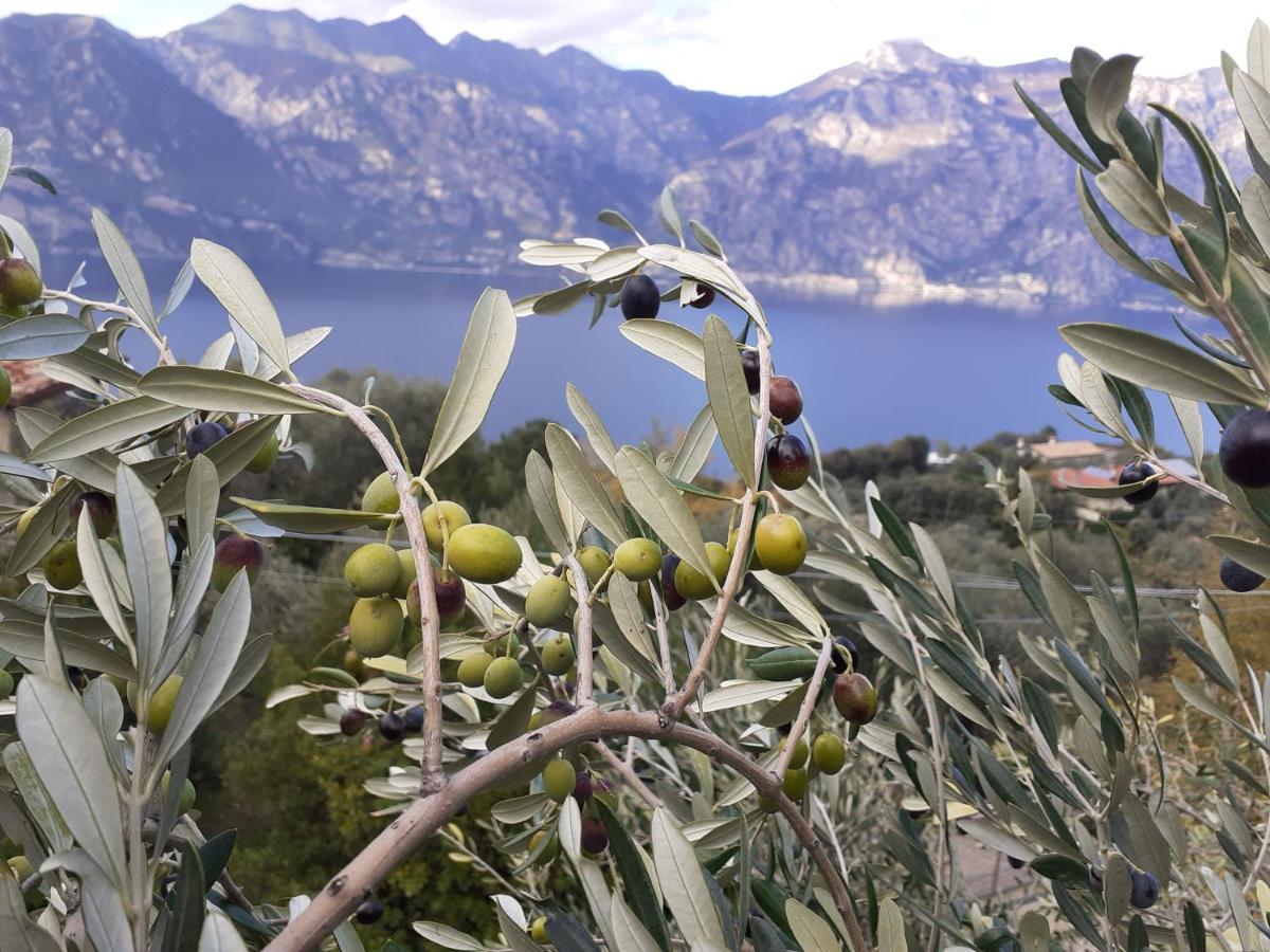 Appartamento Leccino Malcesine Eksteriør bilde
